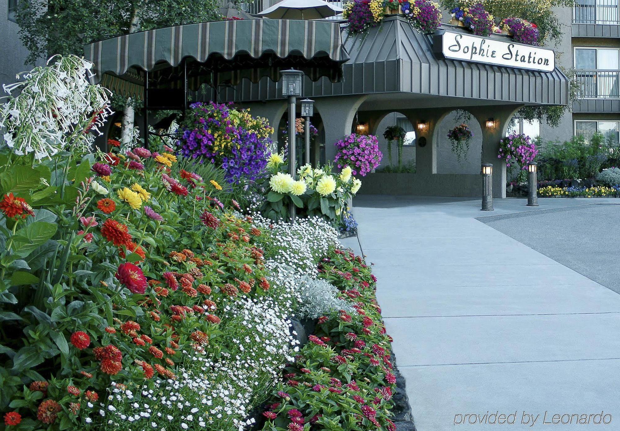 Sophie Station Suites Fairbanks Exterior photo